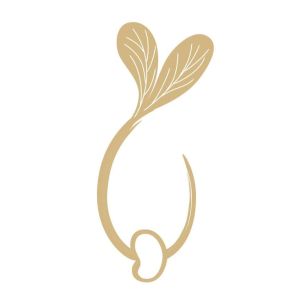 Logo บริษัท เรล์ม หาดใหญ่ จำกัด,บริษัท เรล์ม แบงค็อค จำกัด