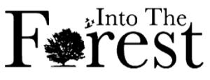 Logo Into The Forest Resort