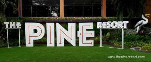 Logo The Pine Resort
