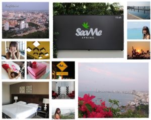 Logo seame spring hotel