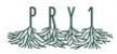Logo บริษัท ทิวป่าไม้งามรีสอร์ทเขาใหญ่ จำกัด (โรงแรม PRY1)