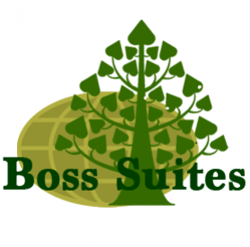 Boss Suites nana Hotel